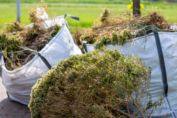 Best Dumpster Rental Services  in Houston, MS